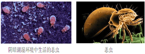 QQ截图20191119162908_副本.png QQ截图20191119162908_副本.png