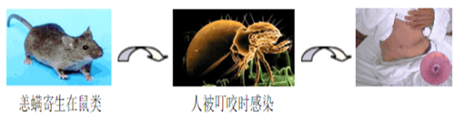 QQ截图20191119162926_副本.png QQ截图20191119162926_副本.png
