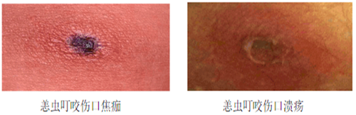 QQ截图20191119162945_副本.png QQ截图20191119162945_副本.png