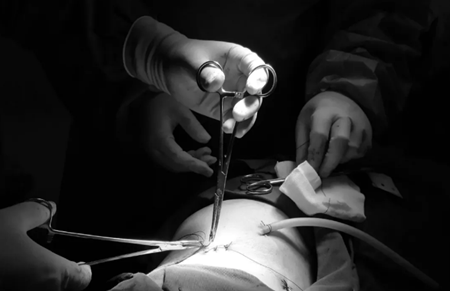 QQ截图20201103150604_副本.png QQ截图20201103150604_副本.png