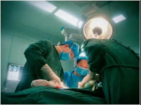 微信图片_20211018091507_副本.jpg 微信图片_20211018091507_副本.jpg