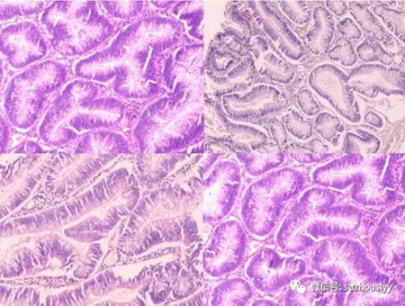 640.webp (1)_副本.jpg