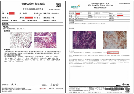 微信图片_2026-06-26_103622_838.png